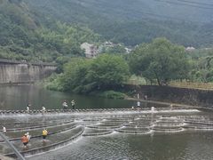 -芦茨金富饭庄·25年老字号·专做稻草鸡