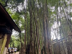 -Bamboo Saturday Market(Nana Jungle)