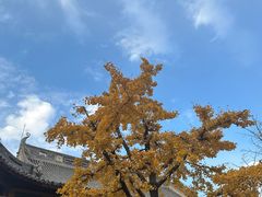 -龙华素斋(龙华路店)