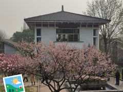 -无锡梅园公园