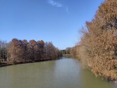 -上海海湾国家森林公园