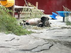 -杭州野生动物世界