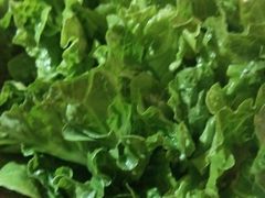 -探窝·竹笙椰子鸡(杨箕店)