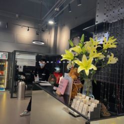 -HairCode芭曲发型