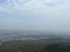 -紫金山山顶公园