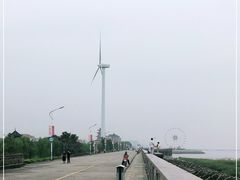 -碧海金沙