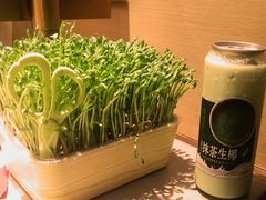 -海底捞火锅(青悦城店)