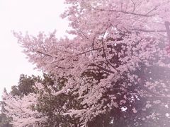 -上海南浦大桥长途旅游客运站