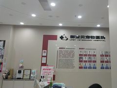 -御宝贝24h宠物医院·转诊中心·CT核磁血透中心(厦门总院)