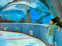 -合肥海洋世界