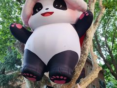 -西安电影制片厂