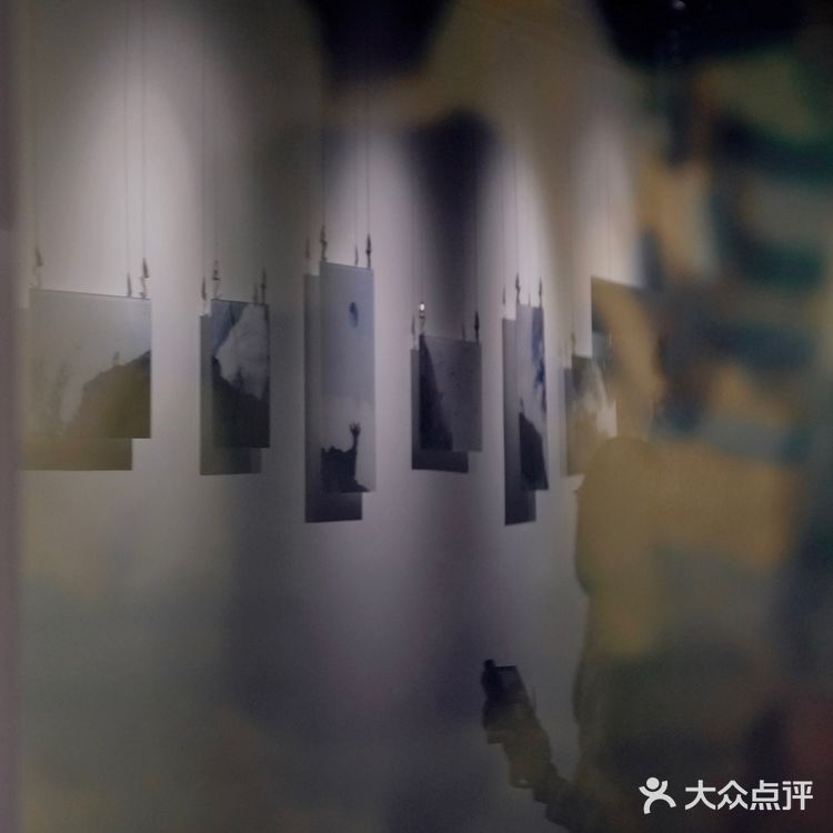 光影的艺术‼️南京紫金山下艺术馆，0元看展拍照胜地