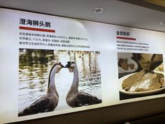 -陆记鹅庄·潮汕菜·狮头鹅(大仟里店)