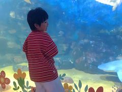 -烟台海昌鲸鲨海洋公园