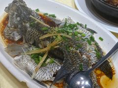 -龙记烧腊茶餐厅(常德路店)