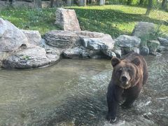 -北京野生动物园