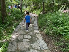 -无染寺