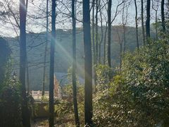 -西湖风景区十里琅珰-五云山