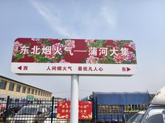 -蒲河大集
