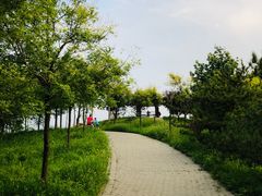 -东郊湿地公园