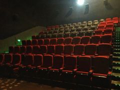 -万达影城(保定万博广场激光IMAX店)