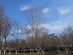 -西安浐灞国家湿地公园