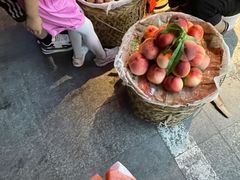 -小财神·老派赣州菜·中华美食地标(第五大道店)