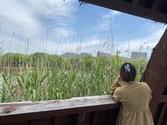 -长兴太湖图影湿地文化园