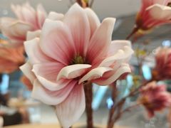 -DQ·蛋糕·冰淇淋(五棵松万达店)