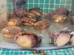 -蓝珊甄选海鲜自助·火锅大排档(近阿那亚店)