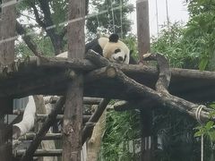 -武汉动物园