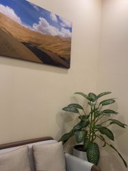 -北京米扬丽格医疗美容·联合丽格鼻整形中心