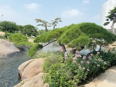 -罗红摄影艺术馆