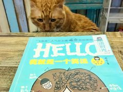 -小时光咖啡馆(开森度假森林店)