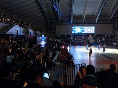 -华中科技大学光谷体育馆