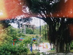 -长泰漂流水陆空景区