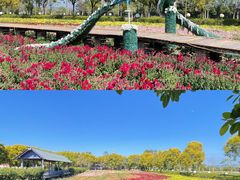 -广东花都香草世界旅游度假区