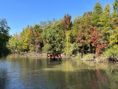 -上海吴淞炮台湾国家湿地公园