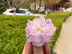 -西安青龙寺遗址景区