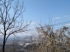 -老山国家森林公园
