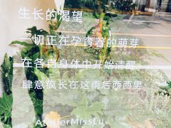 -Dal Cuore 达可芮冰淇淋(陕西北路店)