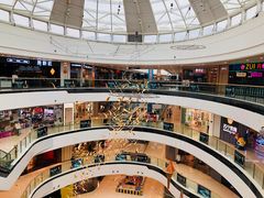 -李子坝梁山鸡(北碚万达五鸡哥店)