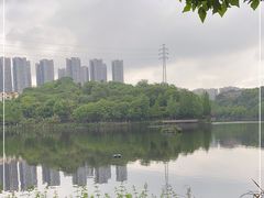 -重庆彩云湖湿地公园