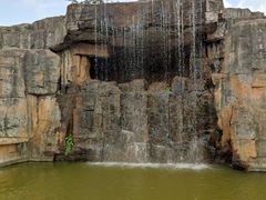 -海南热带野生动植物园