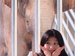 -石家庄市动物园