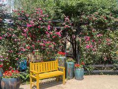 -石家庄市植物园