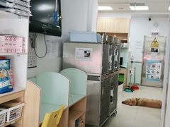 -宠福鑫康馨动物医院·骨科·眼科