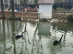 -武汉动物园