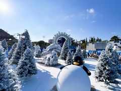 -汕头中海黄金海岸水上乐园