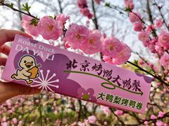 -大鸭梨烤鸭(望京店)